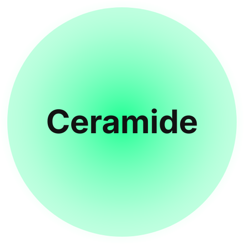 Ceramide