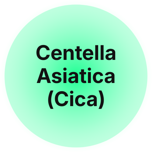 Centella Asiatica (Cica)